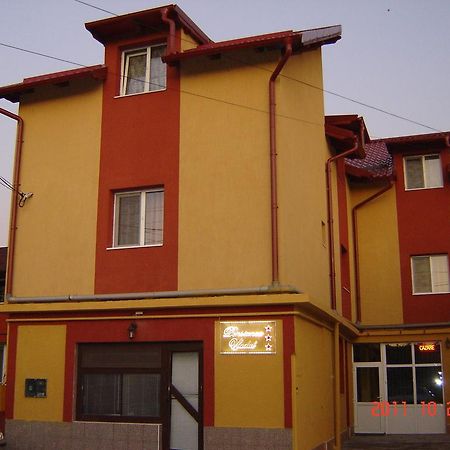 Pensiunea Vladut Timisoara Luaran gambar