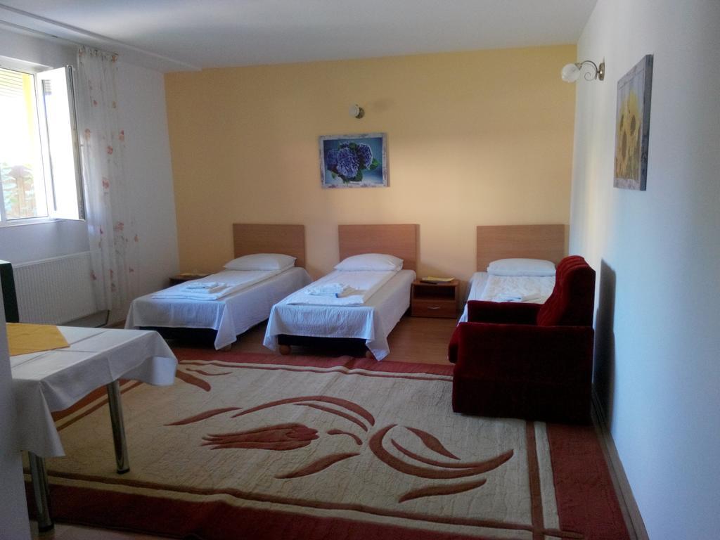Pensiunea Vladut Timisoara Luaran gambar