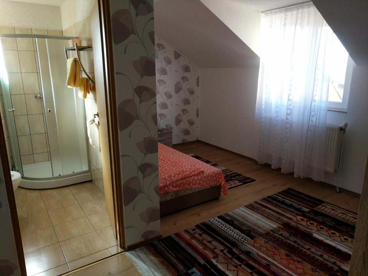 Pensiunea Vladut Timisoara Luaran gambar
